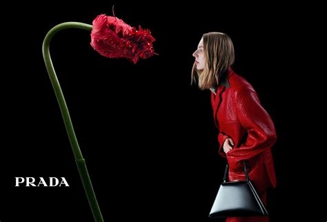 prada concorrenti|Prada .